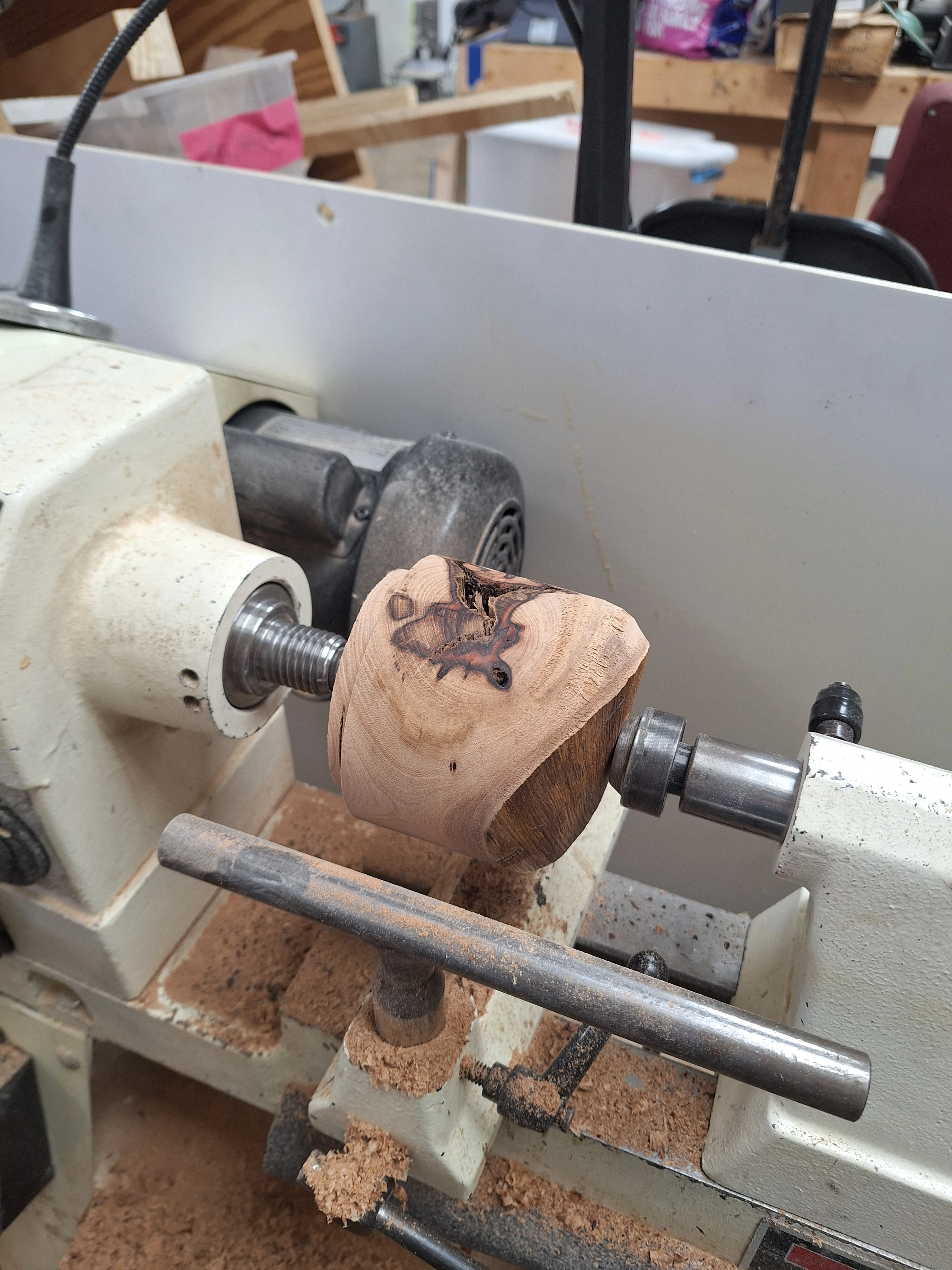 Partially finished dish made from pecan fogwood with interesting rot